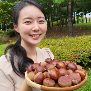 공자매 농축수산 햇알밤 옥광밤 공주정안알밤