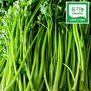 순창 유기농 미나리 돌미나리 1kg 새벽수확 세척발송 1kg 4개, 1개