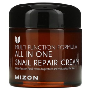 Mizon 올인원 스네일 리페어 크림 75ml(2.53fl oz), 1개, 75ml