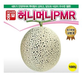 A-멜론-허니머니PMR 100립 종자, 1개