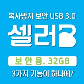 [셀러비USB] 복사방지 보안 복사 복제 방지 금지. 샌디스크3.1. 32GB