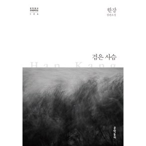 검은 사슴:한강 장편소설