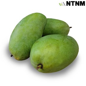 엔티몰 베트남 그린망고(Vietnam Green Mango)