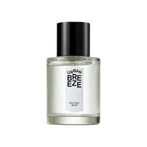 THE SAEM 어반 브리즈 오 드 퍼퓸 어나더 우드 50ml, 1개