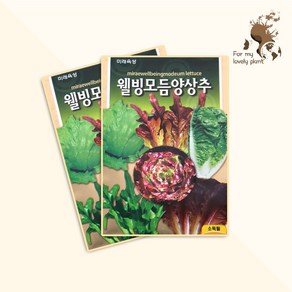 웰빙모듬양상추 1500립 미래종묘 잎채소류 씨앗, 1개