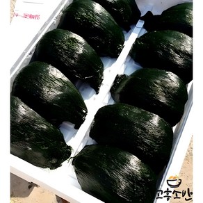 고흥 비단 찰진 매생이 최상급 산지직송 개별진공포장, 5개