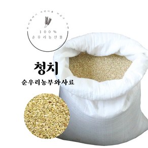 청치 9kg 사료용 청치 닭사료 새모이 청치미 병아리 사료 싸래기 쌀, 1개