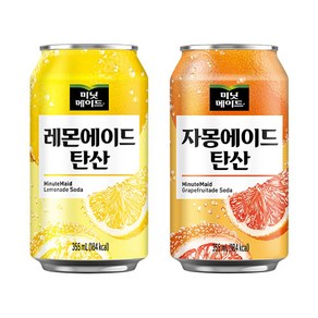 [한번에먹자] 미닛메이드 자몽에이드 탄산 355ml 6캔 + 미닛메이드 레몬에이드 탄산 355ml 6캔 총 12캔