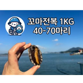 완도전복 1kg 40-70마리 꼬마전복 (생산자직송), 1개