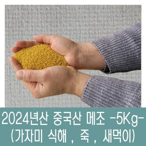 [다온농산] 수입 중국산 메조/메좁쌀 특품 -5Kg- 새먹이 죽 가자미식해, 1개