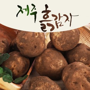 25년 타박타박 제주 구좌 햇 감자, 1박스, 5kg(중)