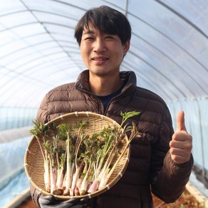 국내산 강원도 눈꽃땅두릅 산지직송, 1개, 땅두릅 1kg