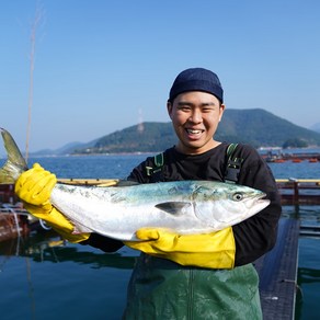 자연산 제철 손질 방어 모둠회 500g