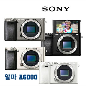 소니 A6000 렌즈미포함 바디 밧데리 충전기 기본구성 소니정품 알파DH, 화이트