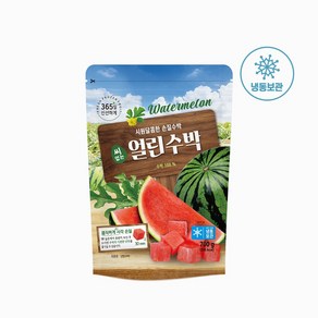 [호재준] 냉동수박 700g