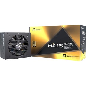 Seasonic Focus GX-1000 1000W 80 Gold 풀 모듈러 팬 없는 제어 저소음 및 냉각 모드 10년 보증 게임 다양한 애플 호환리케이션 완벽한 전원 공급 장치, [02] 포커스 750W 골드