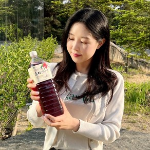 발효 숙성 강원도 오미자 오미자청 1500ml 원액 효소 발효 진액 오미자진액, 1.5L, 1개입, 1개