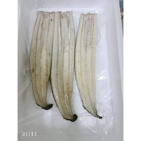 신풍양만 민물장어 초벌구이 1kg 3마리 구이후 500g내외 소스같이 당일배송, 1개, 1팩