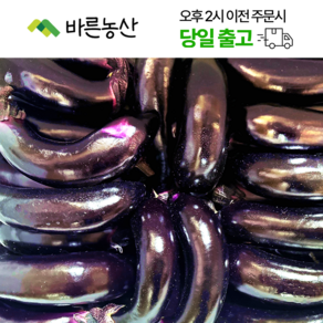 < 바른농산 > 국내산 햇가지 못난이 상품, 1개, 5kg