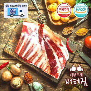 (당일출돼지) 캠핑가자! 숙성 양고기 모음1kg 양사각갈비 2소스, 1개, 통 양갈비(플랩)한봉 내외