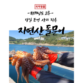 문어 고흥 활 돌문어 산지직송 당일조업, 1개, 1kg(4-5미