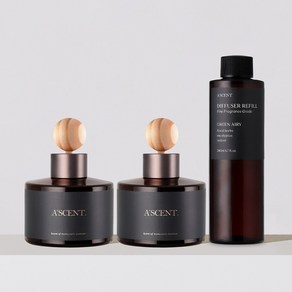 [1+1+1] 에이센트 차량용 디퓨저 120ml 2구 + 리필 200ml 기획세트, 1세트, 09 우디레인