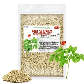 진생베리차 볶은 인삼 씨앗 진생베리 국내산 250g