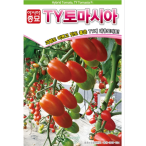 농업마켓365 아시아종묘 대추방울토마토 TY토마시아 20립 씨앗 종자 종묘 텃밭 화분 주말농장 농사 야채 채소 방울토마토, 1개