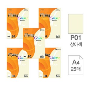 색상지 플라잉칼라(P01.상아색/A4/80g/25매)X5권입