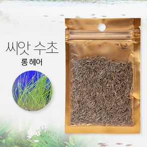 물멍 씨앗수초 롱헤어 8g, 1개