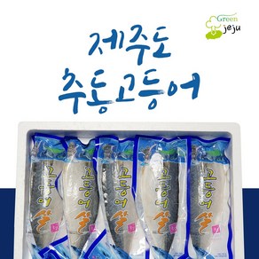 티앤트리 고소한 제주직송 고등어 제주고등어 추동고등어 5팩1kg 10팩2kg 15팩3kg, 5개, 1kg