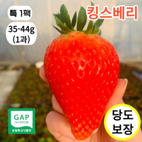 최상품 킹스베리 꿀당도 대왕딸기 논산산지직송