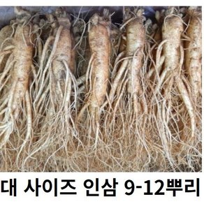 햇인삼 금산 수삼 5년근 750g (11-15뿌리) 특상품 + 선물포장 빠른배송, 인삼 9-12뿌리, 1개