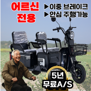 Ezybike 쉬운조작 세발전기자전거 어르신 전동 자토바이 출퇴근 스쿠터, 레드, 스틸