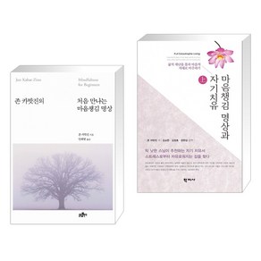 (서점추천) 처음 만나는 마음챙김 명상 + 마음챙김 명상과 자기치유 상 하 (전2권)