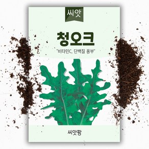 청오크씨앗(1000립) 쌈채소씨앗, 1개