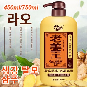 400ml/750ml 생강 탈모 샴푸 마일드 헤어 가려움직임 보송보송 진저 헤어 샴푸, 호주잎생강&수오투인원 컨디셔너 750ml, 1개, 750ml