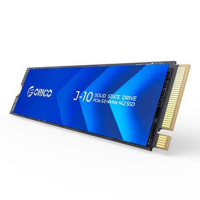 오리코 M.2 Nvme PCIe 3.0 Gen3x4 2280 SSD 쿨링 베스트(포함) J10, 256GB