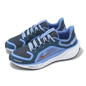 [나이키] 페가수스 41 고어텍스 운동화_C FQ1357-400