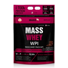 매스96 매스웨이 포대유청 WPI 보충제 초코맛, 2kg, 2개