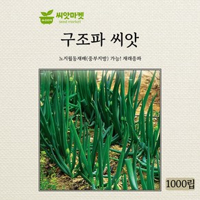 다농 구조파 씨앗 1000립, 1개