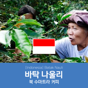 [인도네시아] 바탁 나울리 세웅지씨 산지 직수입 생두 1kg, 1개