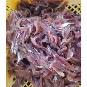 수협36번중매인 국내산 생물 손질된 생멸치 판매, 생멸치횟감1kg, 1개