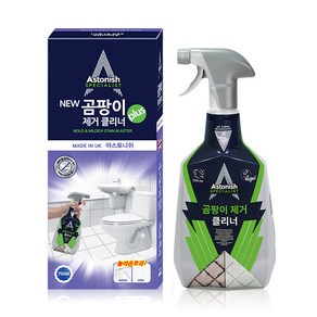 아스토니쉬 곰팡이 제거제 화장실청소 베란다 750ml, 1개