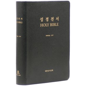 개역개정 ESV한영대조성경(NKES87EDI/대/가죽/무지퍼/무색인/검정/랩핑)