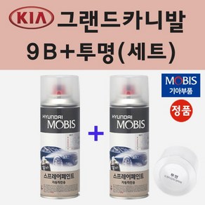 순정품 기아 그랜드카니발 9B 미드나이트블랙 스프레이 페인트 + 투명스프레이 200ml