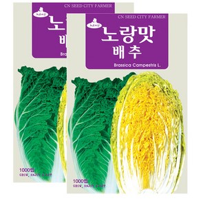 세인화분 노랑맛 배추씨앗 1000립 김장 배추 씨앗 맛배추 쌈배추 씨, 2개