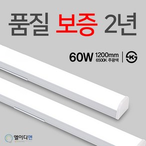 비츠온 LED 멀티등 60W 주차장등 KS인증, 주광색, 1개