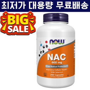 NAC 나우 서플리먼트 600mg 250정, 1개