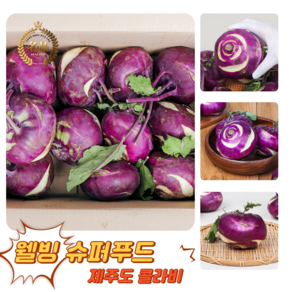 [굿피플] 제주콜라비 야채콜라비 콜라비제주 콜라비 국내산콜라비 [무세척콜라비혼합과], 2kg, 1개